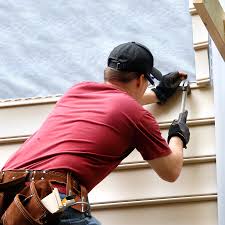 Best Historical Building Siding Restoration  in Bellview, FL